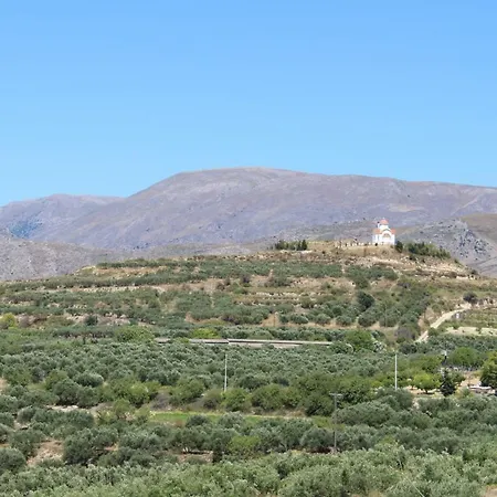Grapevines Villas * Makrýgialos